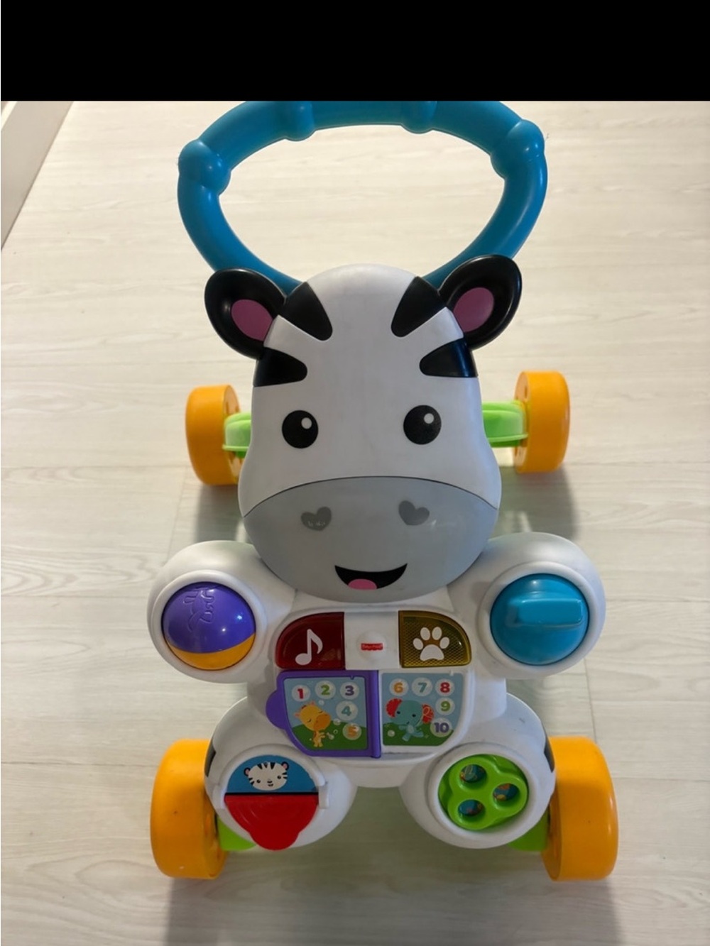 Zebra Activity Walker - Multicolor Interactive Baby Push Toy